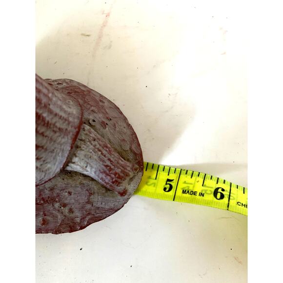 Vintage Pink White Snail Rock Aquarium Decorations - Picture 8 of 10